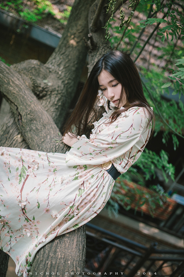 夏日树上不一样情怀的唯美女子  第7张