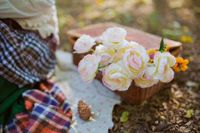 碎花裙美女森林捡松果  第19张