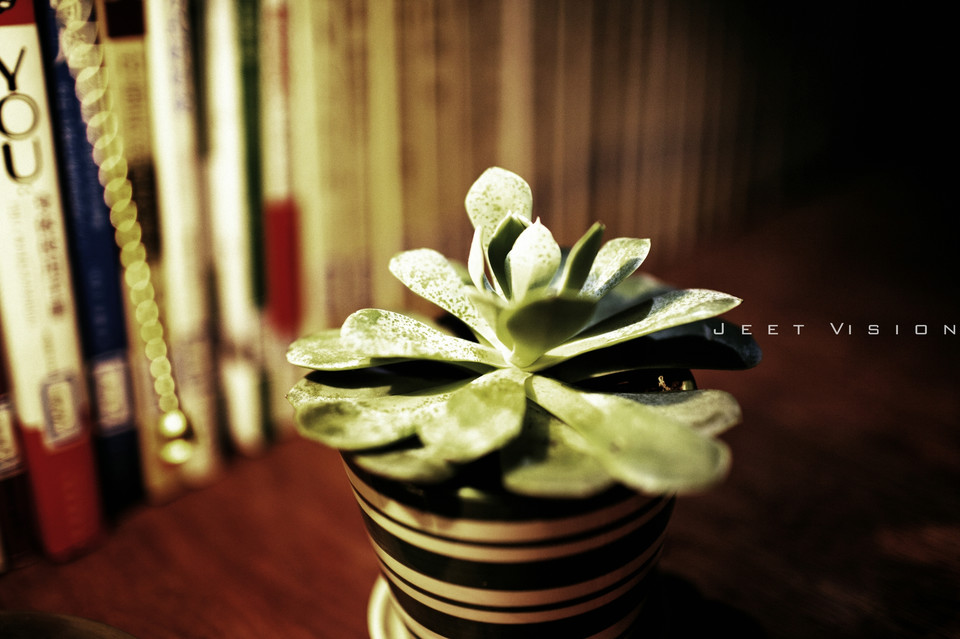 安静女子的红唇图片  第9张