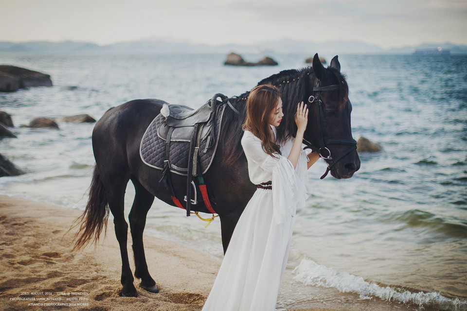 海边马背上的白裙美女  第8张