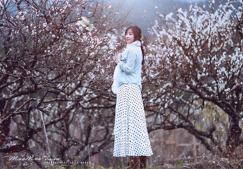 梨花下清新唯美图  第13张