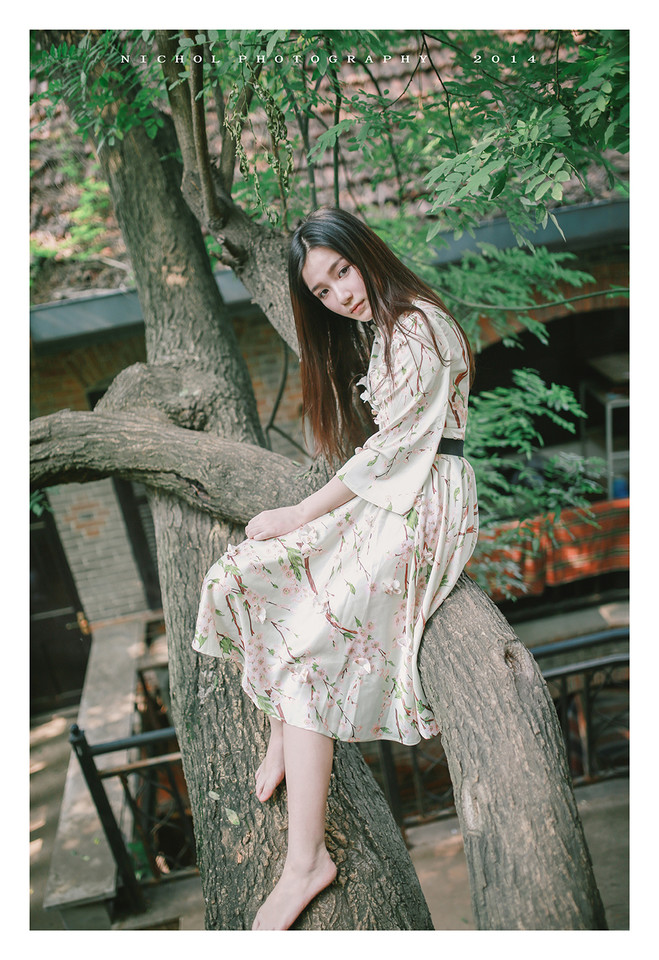 夏日树上不一样情怀的唯美女子  第2张