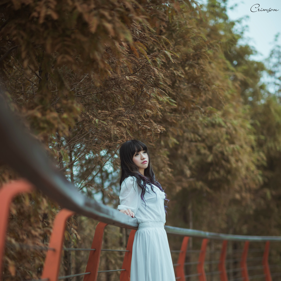 白裙美女在公园仰望  第11张