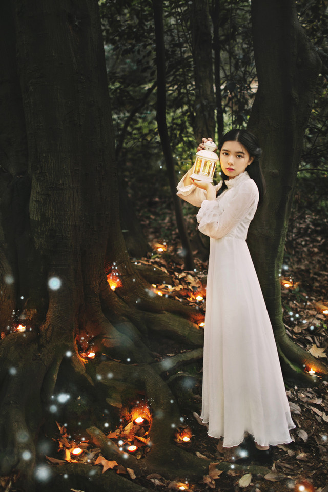 树下美女夜晚灯光点点  第14张