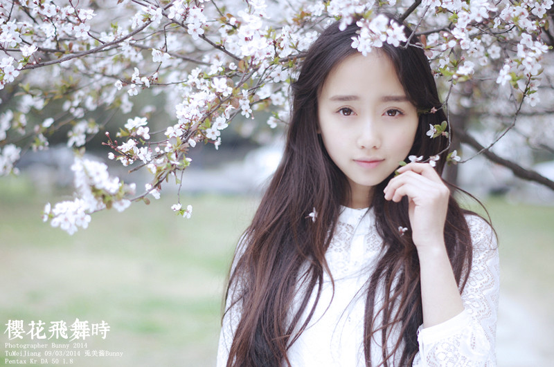 樱花飞舞下长发美女清纯图  第15张