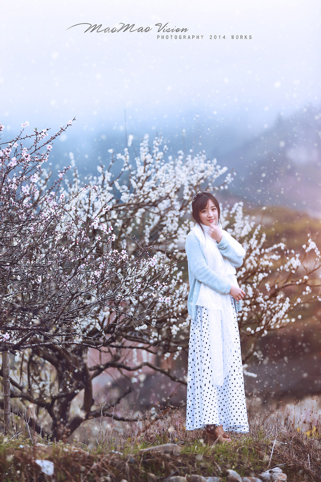 梨花下清新唯美图  第7张