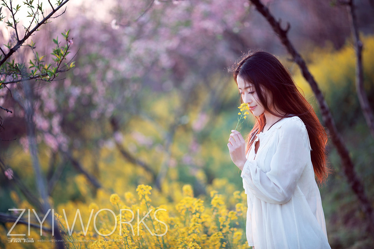 花圃中的白裙女子唯美图  第3张