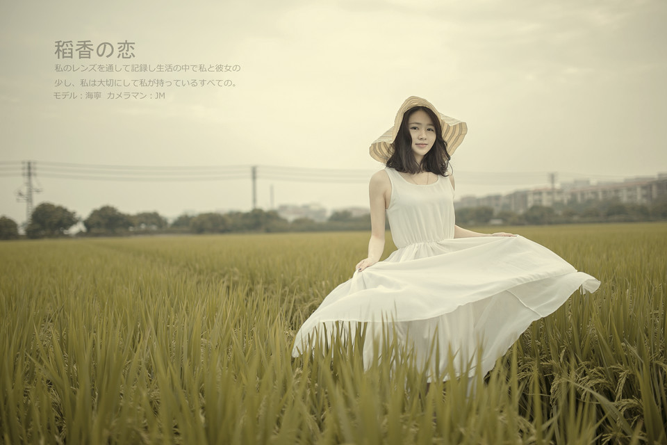稻香之恋白色长裙少女  第3张