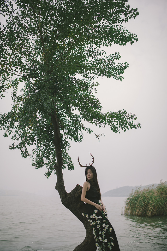 麋鹿女子森林唯美清纯图  第2张