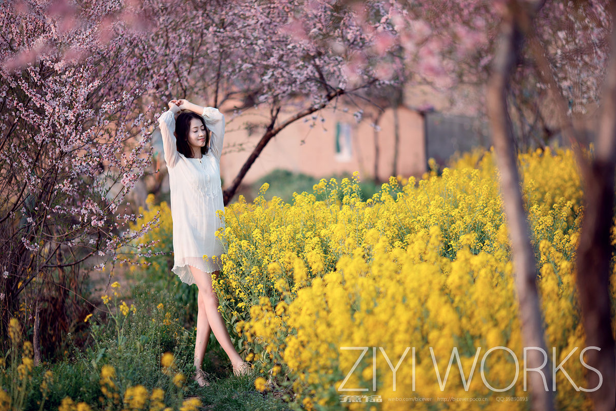 花圃中的白裙女子唯美图  第2张