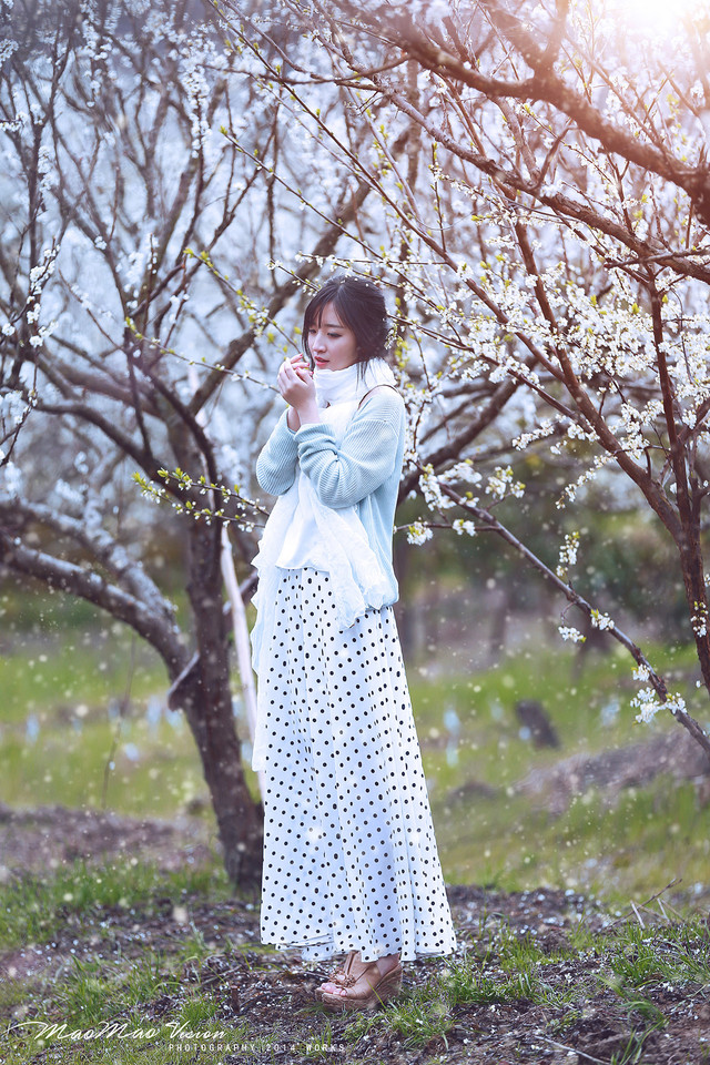 梨花下清新唯美图  第8张