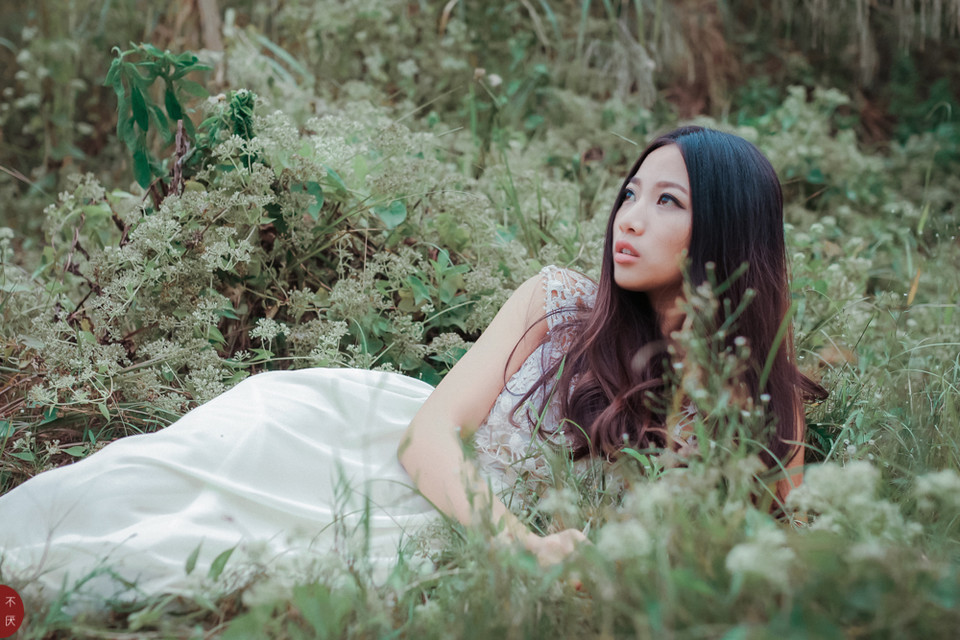 草地上白裙唯美少女图  第14张