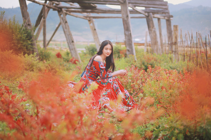 红裙女子户外飞舞写真  第8张