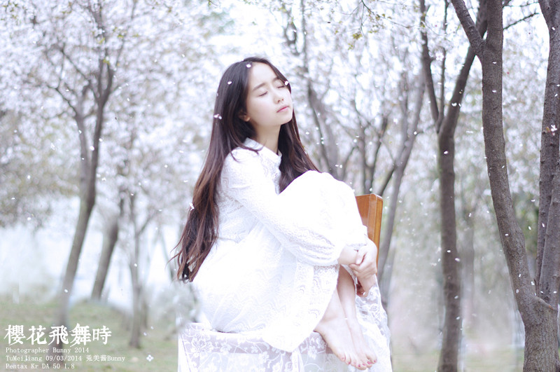 樱花飞舞下长发美女清纯图  第13张