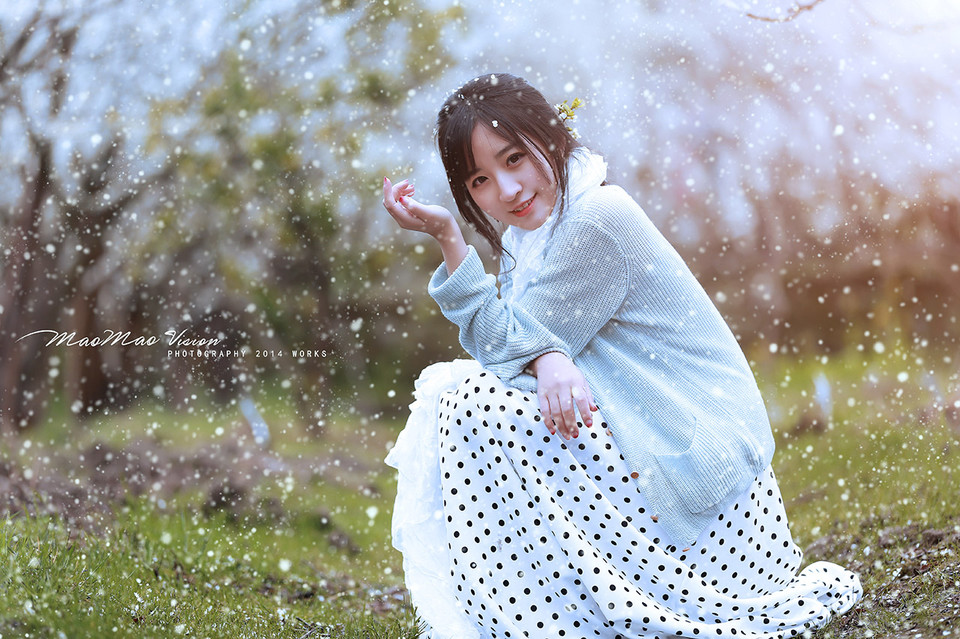 梨花下清新唯美图  第4张