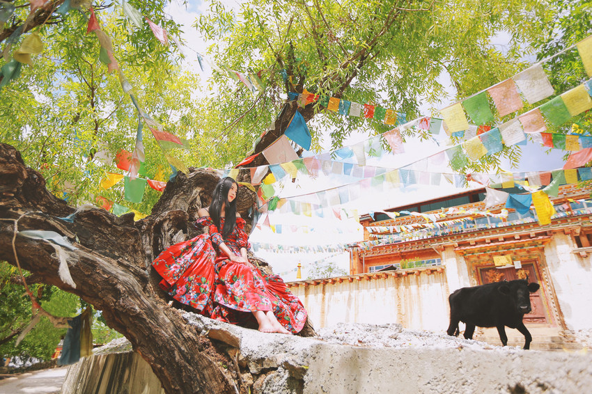 红裙女子户外飞舞写真  第5张
