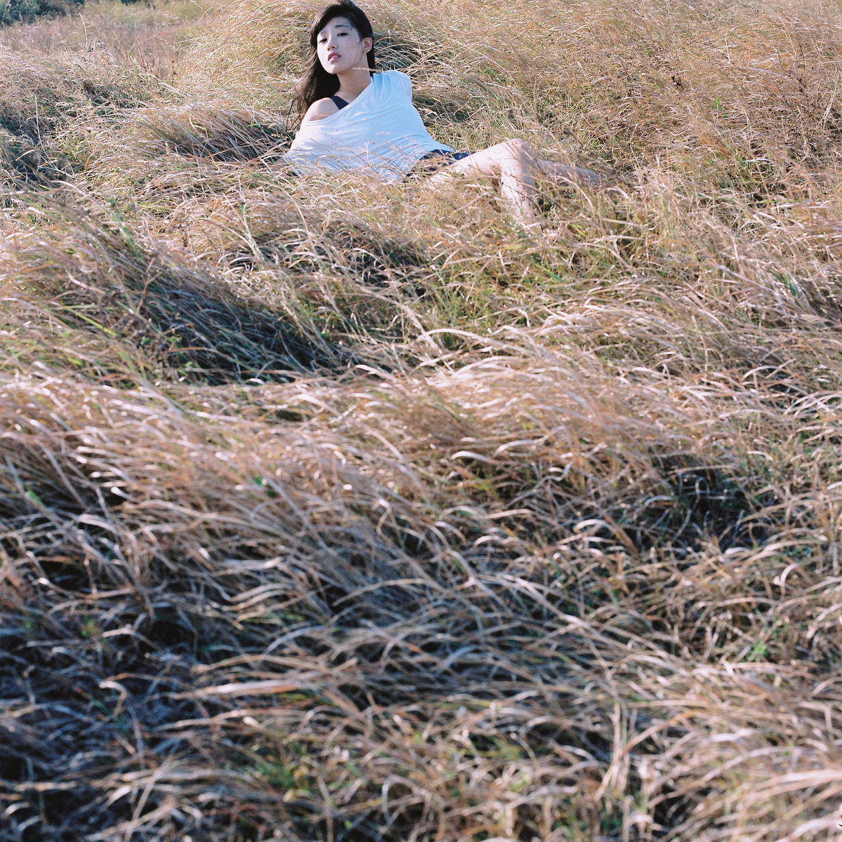 草丛里的长发随风飘逸  第4张