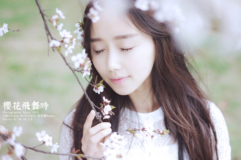 樱花飞舞下长发美女清纯图  第1张