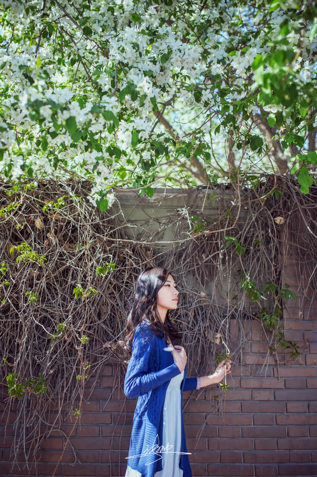 暖阳下的长裙少女迷人图  第2张