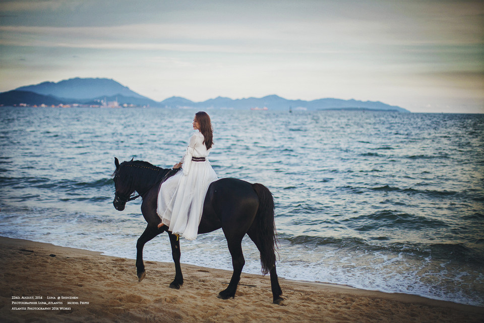海边马背上的白裙美女  第12张