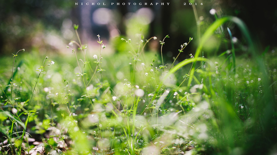 小清新女子森林小路的清纯美女  第7张