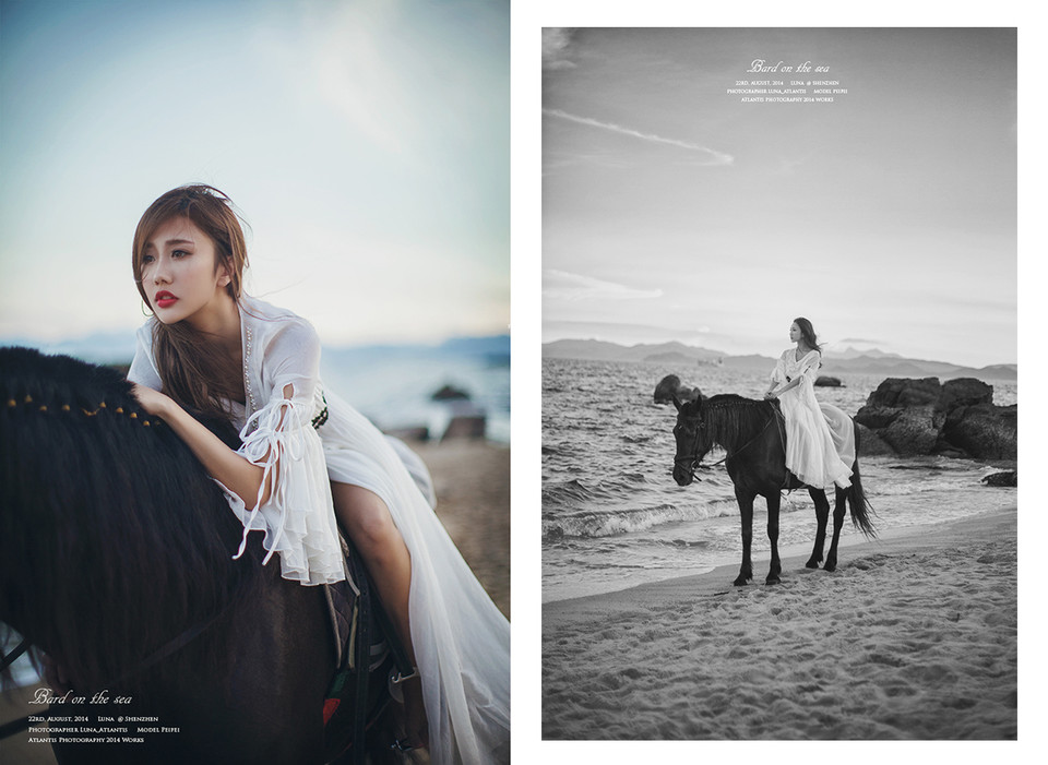 海边马背上的白裙美女  第1张