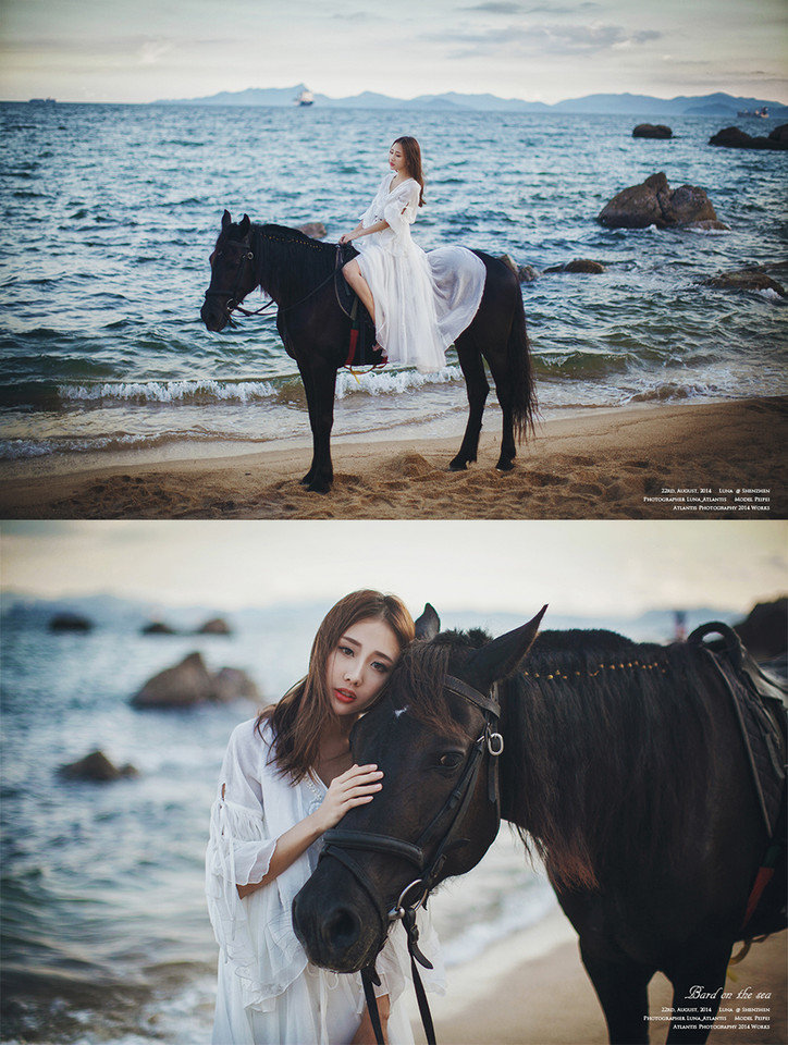 海边马背上的白裙美女  第11张