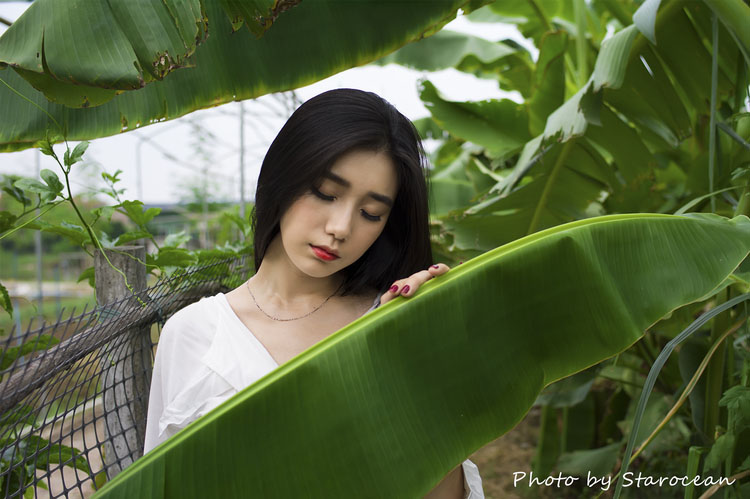 树下的清纯女神唯美写真  第4张