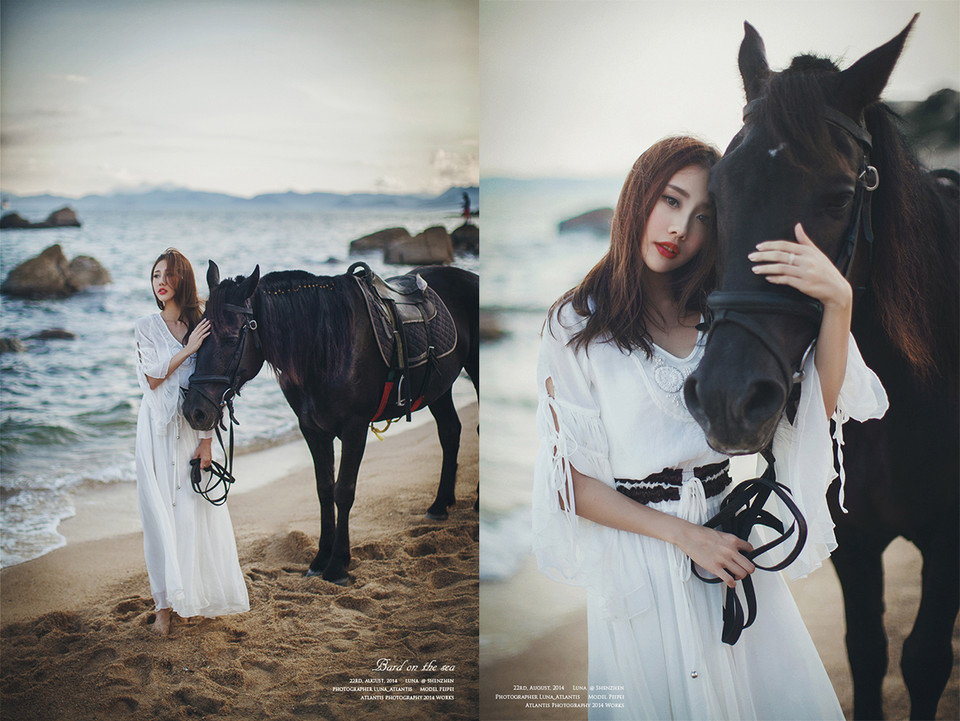 海边马背上的白裙美女  第10张
