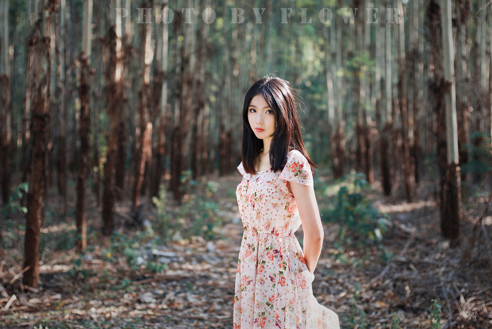 森林里面的碎花长裙唯美图  第2张