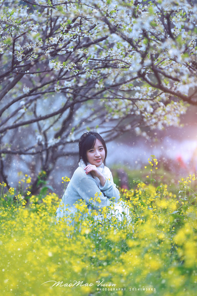 梨花下清新唯美图  第2张