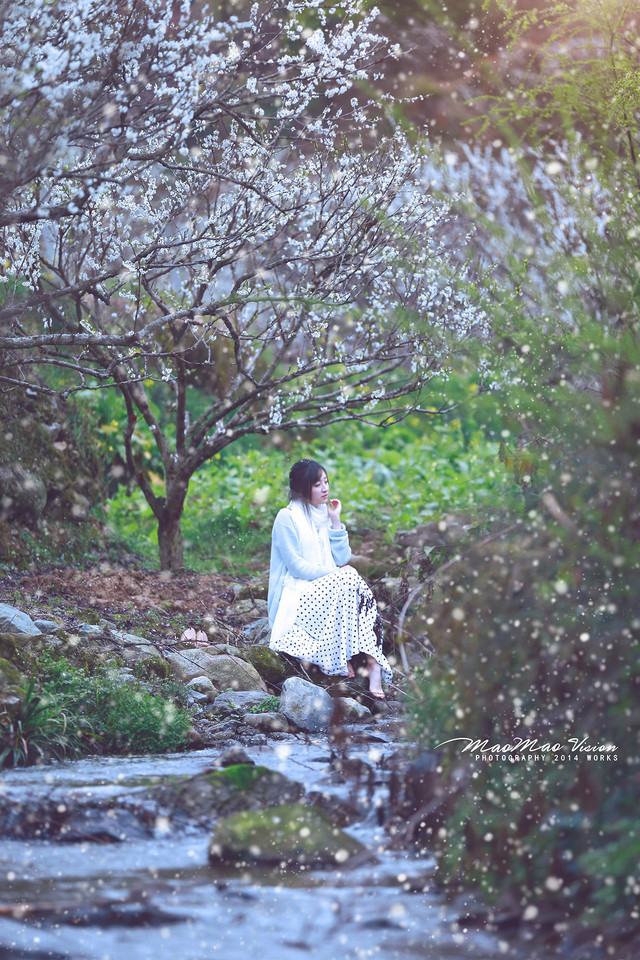 梨花下清新唯美图  第1张