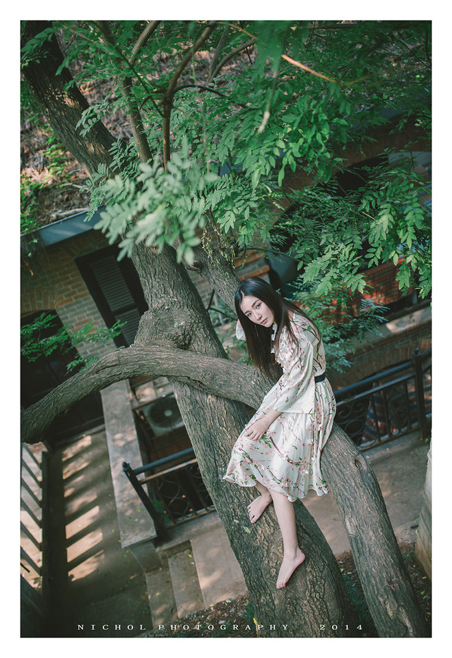 夏日树上不一样情怀的唯美女子  第8张