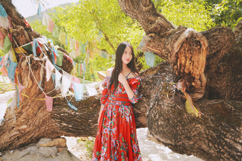 红裙女子户外飞舞写真  第3张