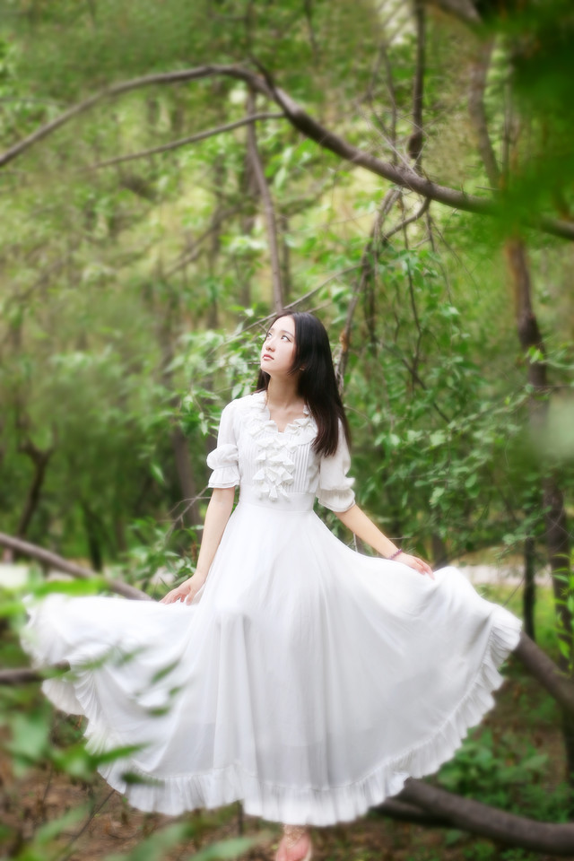 长裙飘飘女子在森林  第6张