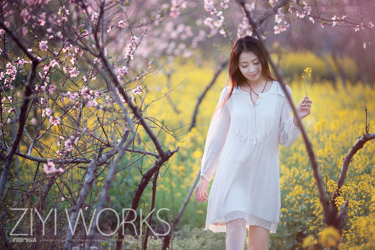 花圃中的白裙女子唯美图  第5张