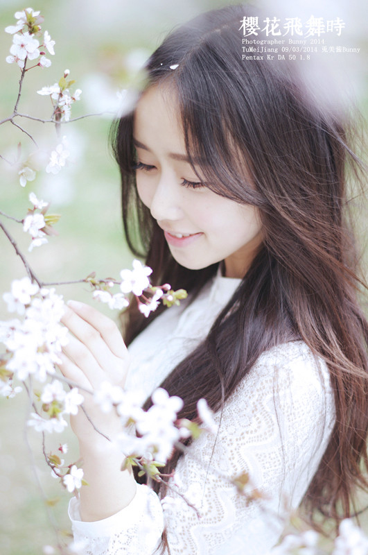樱花飞舞下长发美女清纯图  第12张