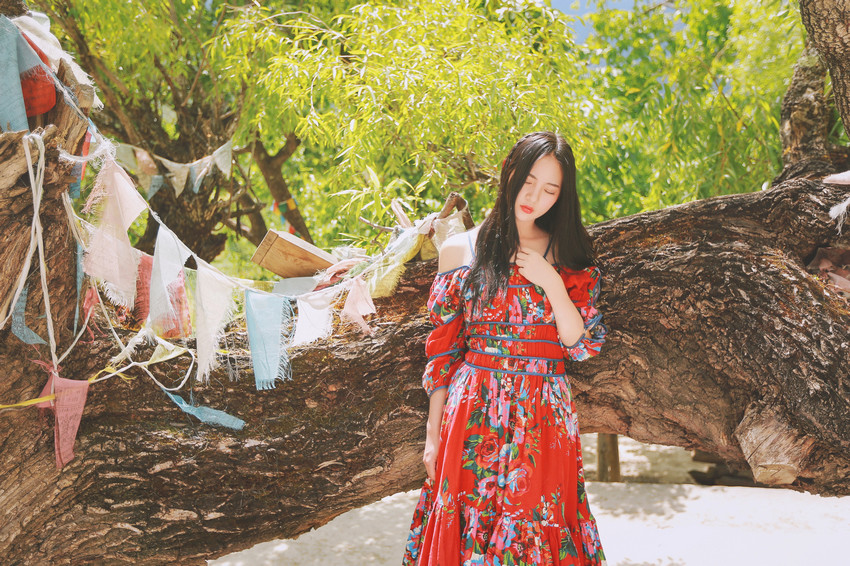 红裙女子户外飞舞写真  第2张