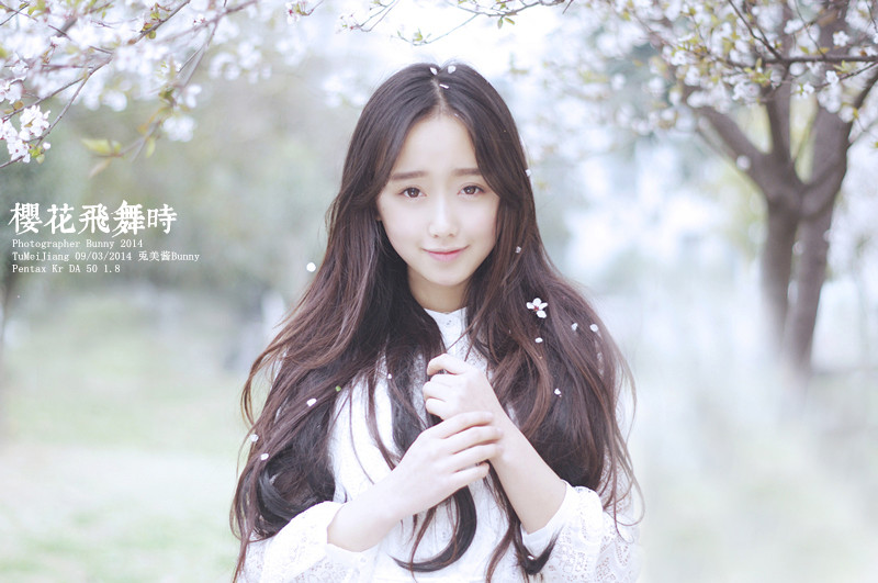 樱花飞舞下长发美女清纯图  第16张