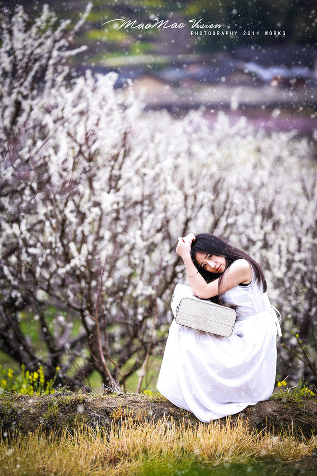 梨花下清新唯美图  第3张