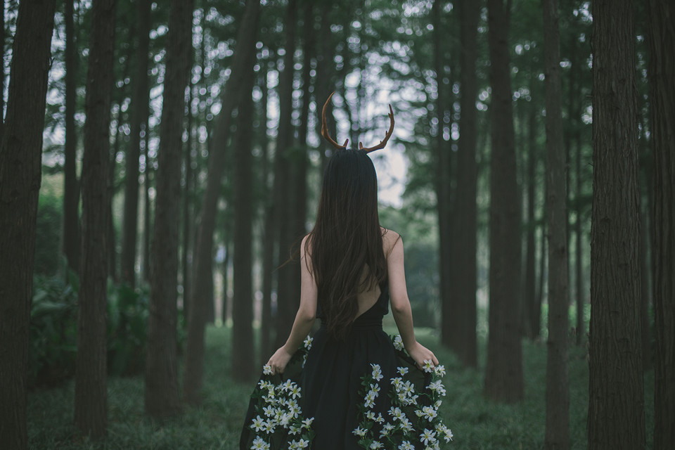 麋鹿女子森林唯美清纯图  第16张