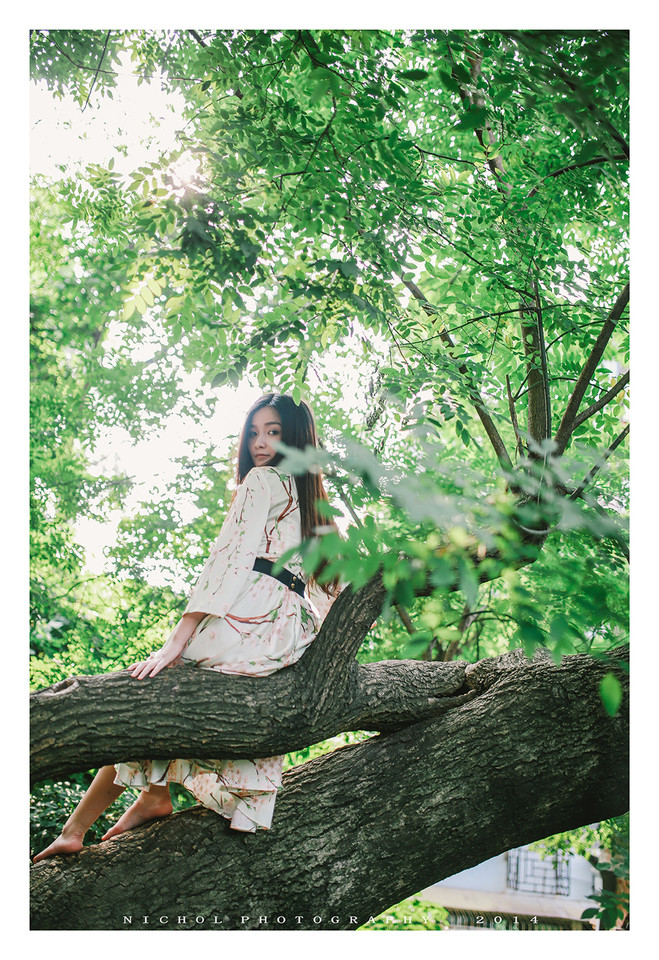 夏日树上不一样情怀的唯美女子  第6张