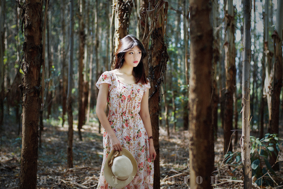 森林里面的碎花长裙唯美图  第1张