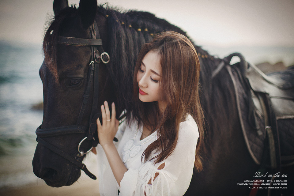 海边马背上的白裙美女  第9张