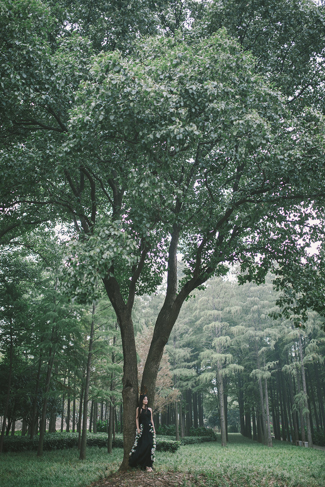 麋鹿女子森林唯美清纯图  第14张