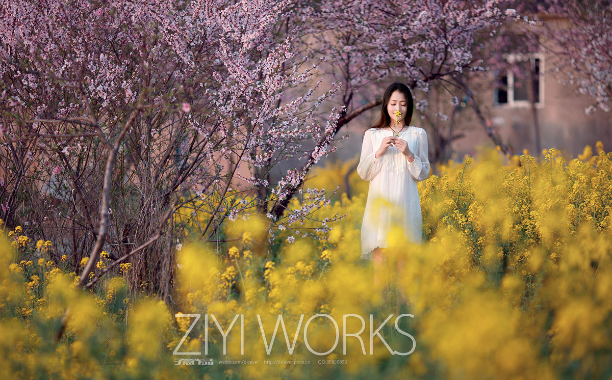 花圃中的白裙女子唯美图  第4张