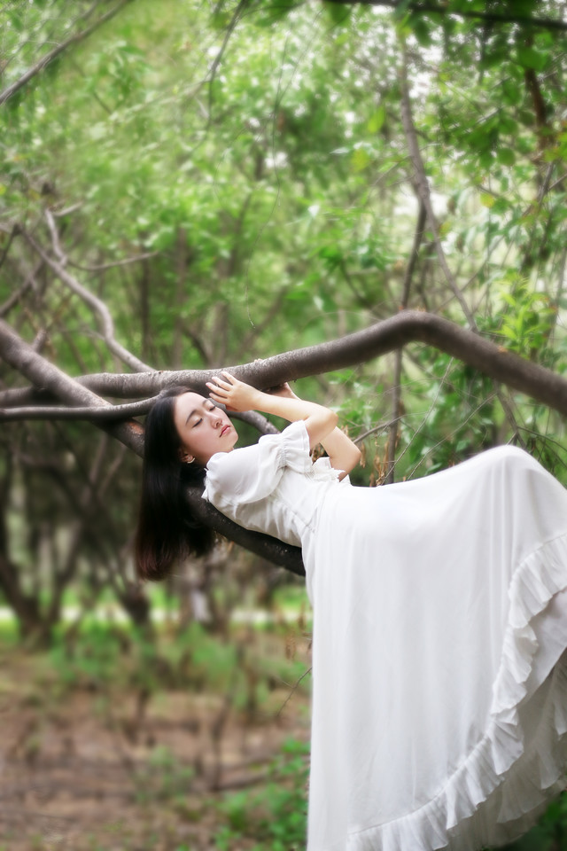 长裙飘飘女子在森林  第8张
