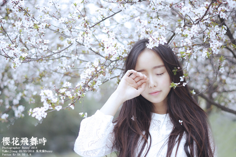 樱花飞舞下长发美女清纯图  第2张